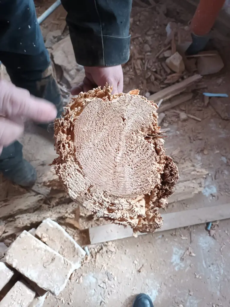 Balkenzustand Bauernhaus